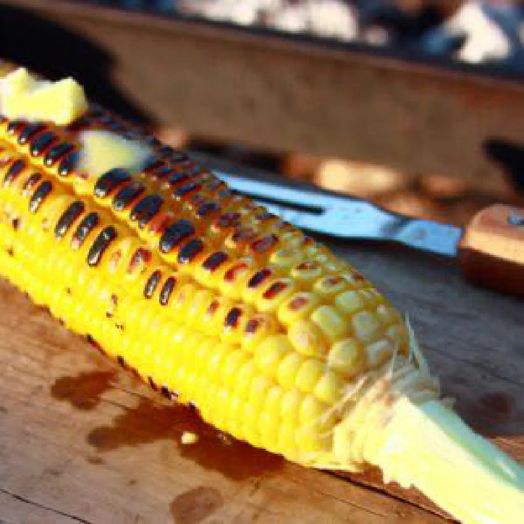 Charred grilled corn on the cob sprinkled with salt and paprika